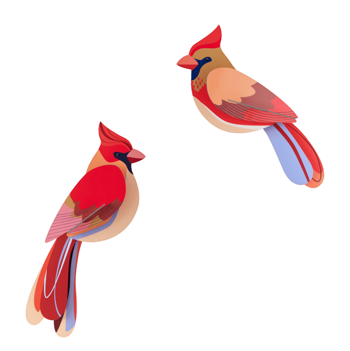 Cardinals