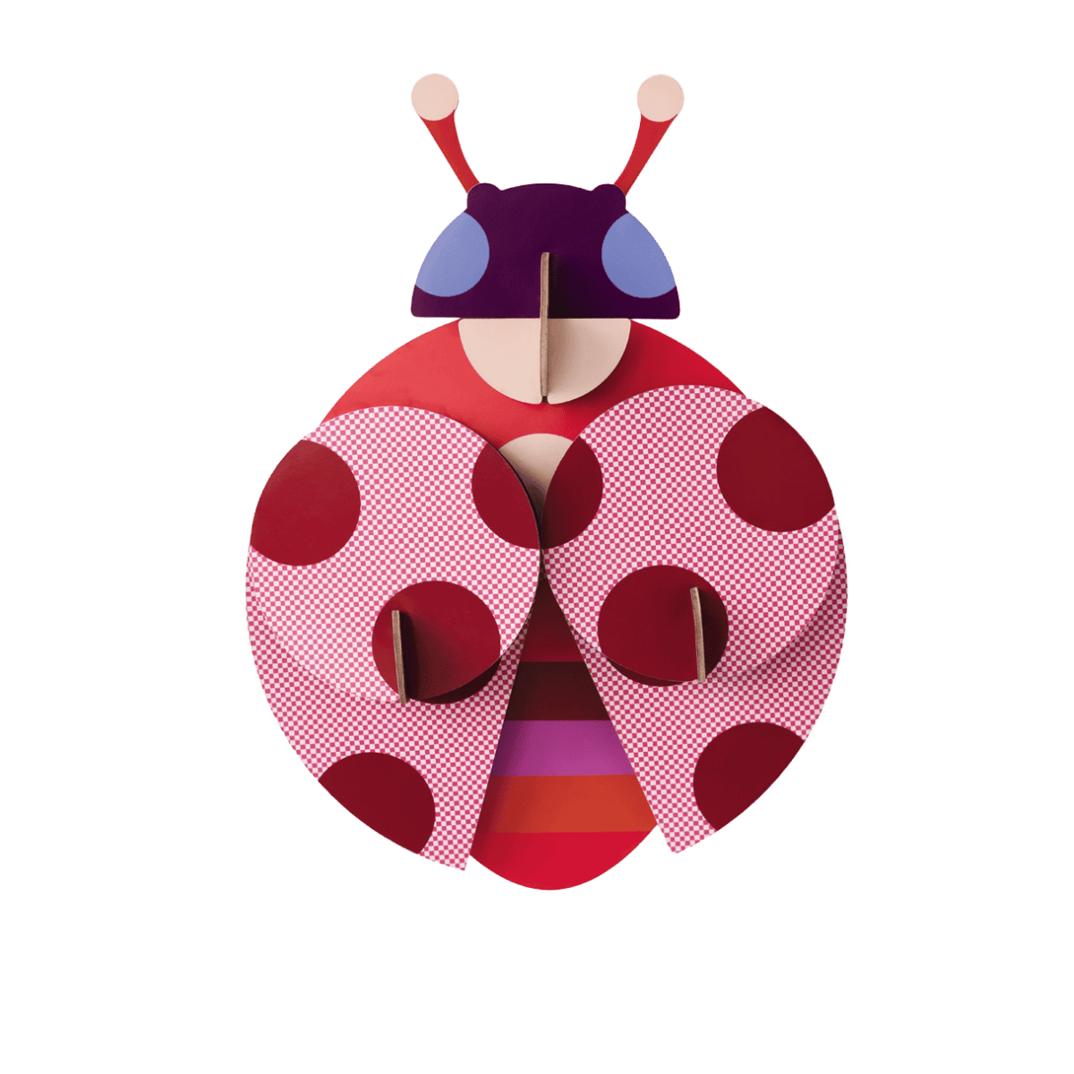 Dotted Lady